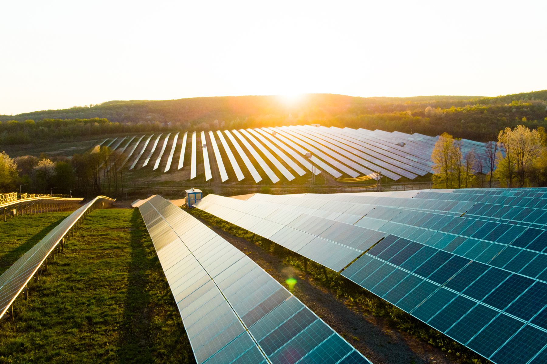 A field full of solar panels.