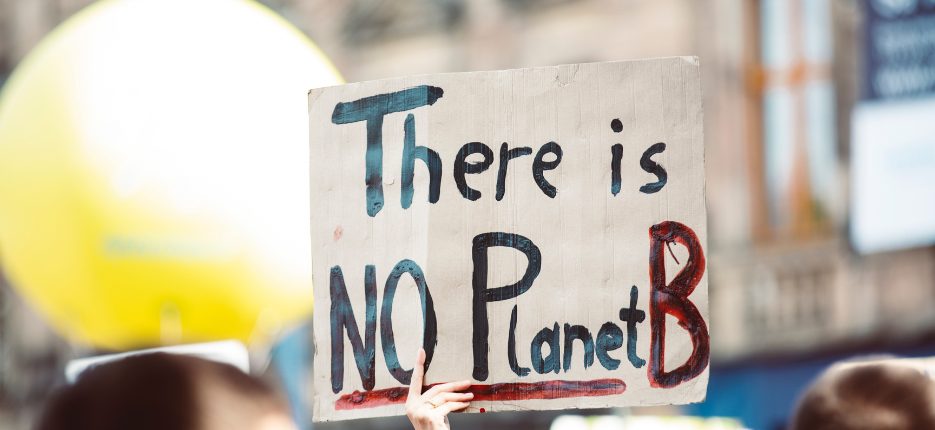 Person holding a "There Is No Planet B" sign.