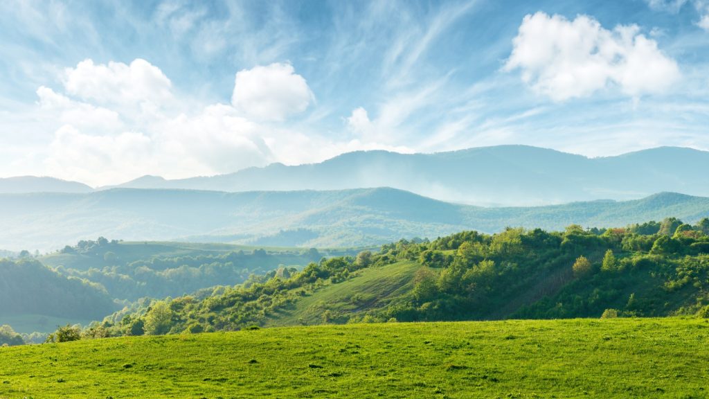 Grassy field and partly cloudy sky.