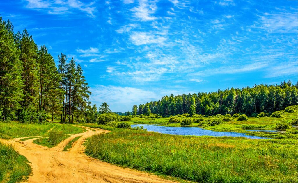 A trail leading to forest and river on a sunny day.